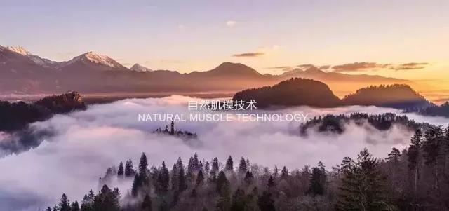 柔光砖技术含量解读