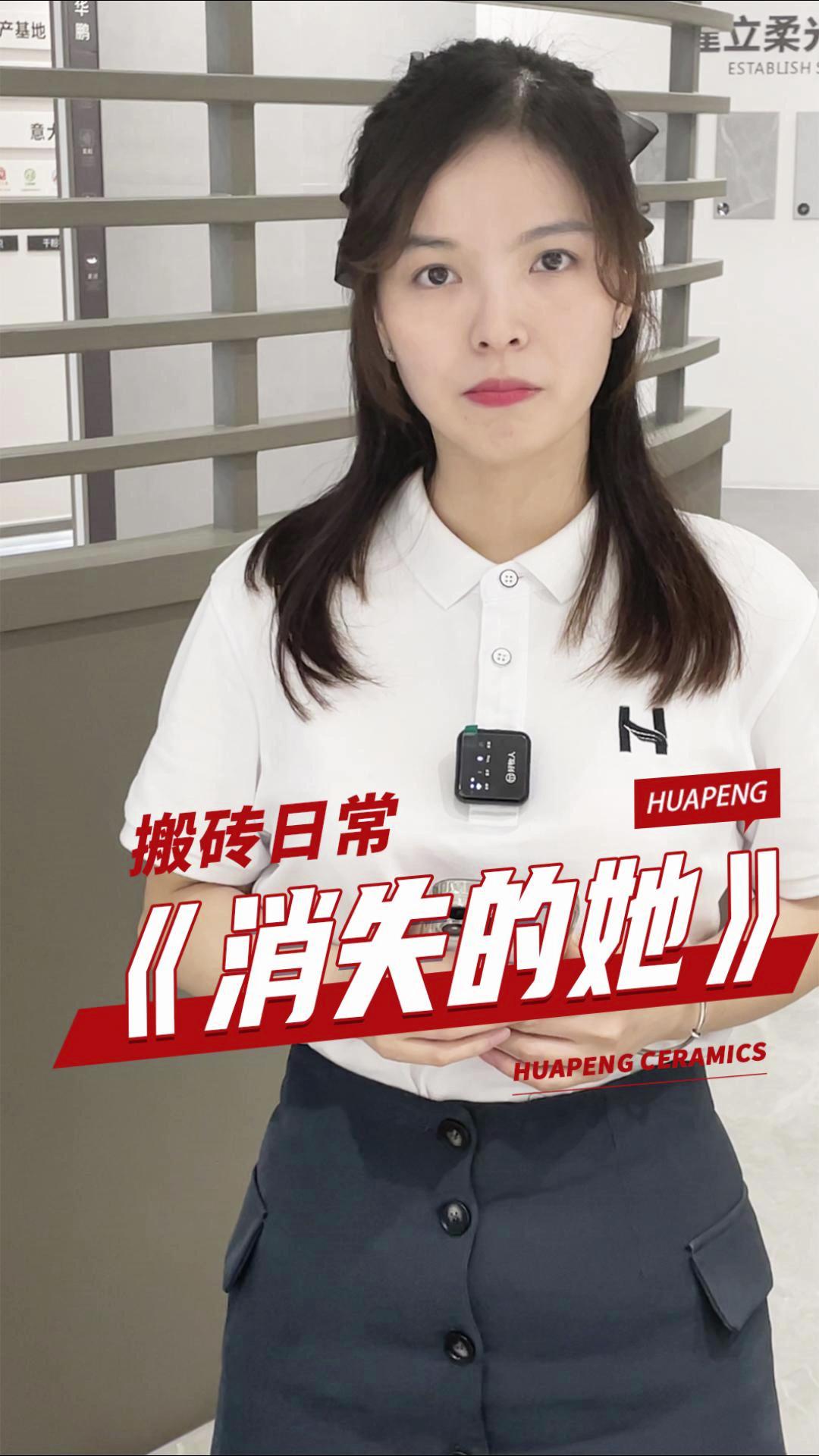 搬砖日常《消失的她》